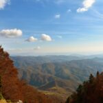 photo-1555837351-17c3ec6f67f0 (1)